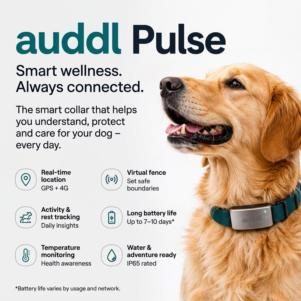 auddl Pulse Collar