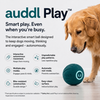 auddl Play Ball