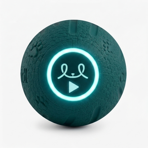 step icon