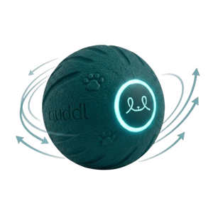 step icon