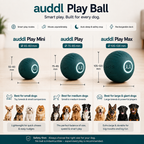 auddl Play Ball