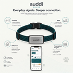 auddl Pulse Collar