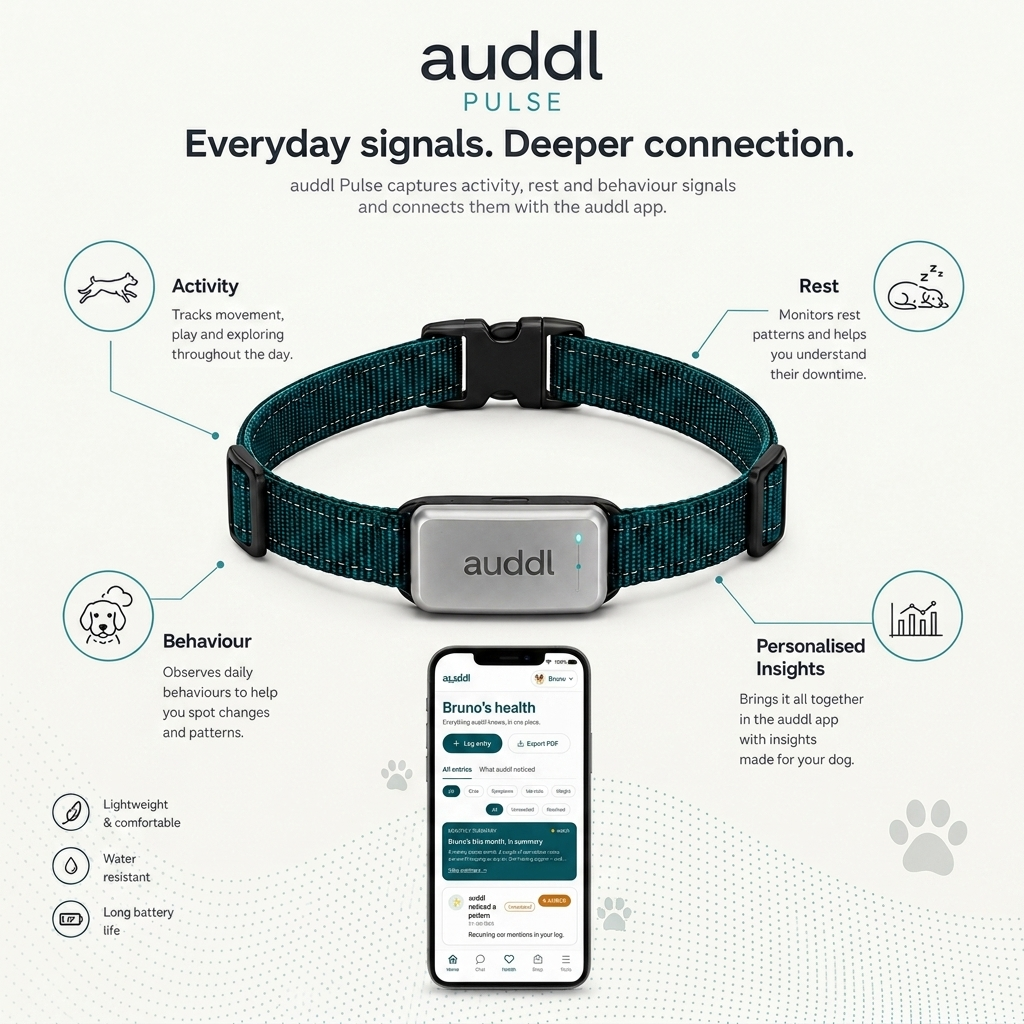 auddl Pulse Collar
