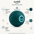 auddl Play Ball