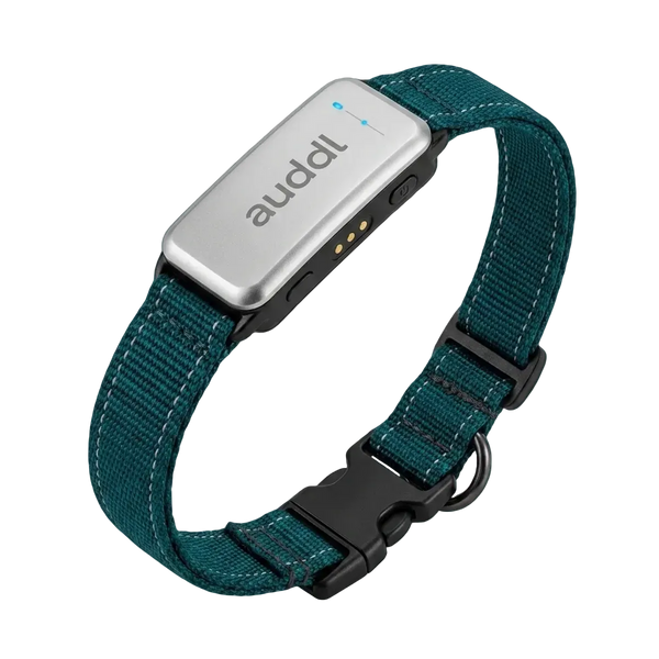 auddl Pulse Collar